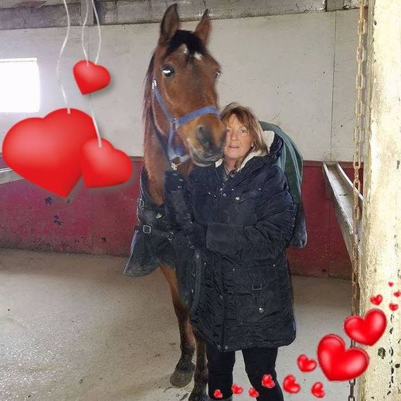 Meet your Posher, Sandy - Picture 1 of 1